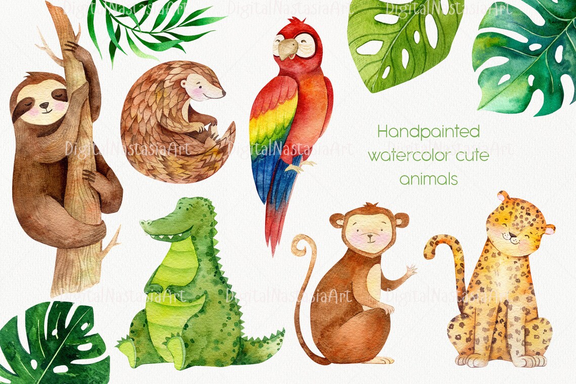 Jungle Animals Clipart Sloth Clip Art Safari Illustration - Etsy