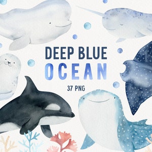 Cute ocean animal clipart, Hand-drawn baby shark, seal, narwhal png, Watercolor baby shower whale and deep sea creatures, Nautical clip art