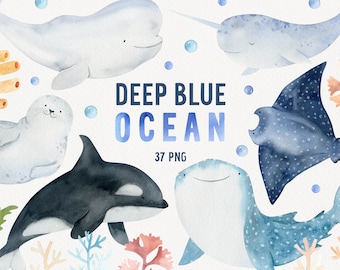 Clipart di animali dell'oceano ad acquerello: squalo cucciolo, foca, narvalo (PNG)