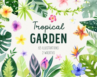 Tropical Flower Clipart: Hand-Drawn Summer Leaves, Wreaths (PNG Digital Download)