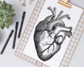 Free Free Heart Svg Etsy 59 SVG PNG EPS DXF File