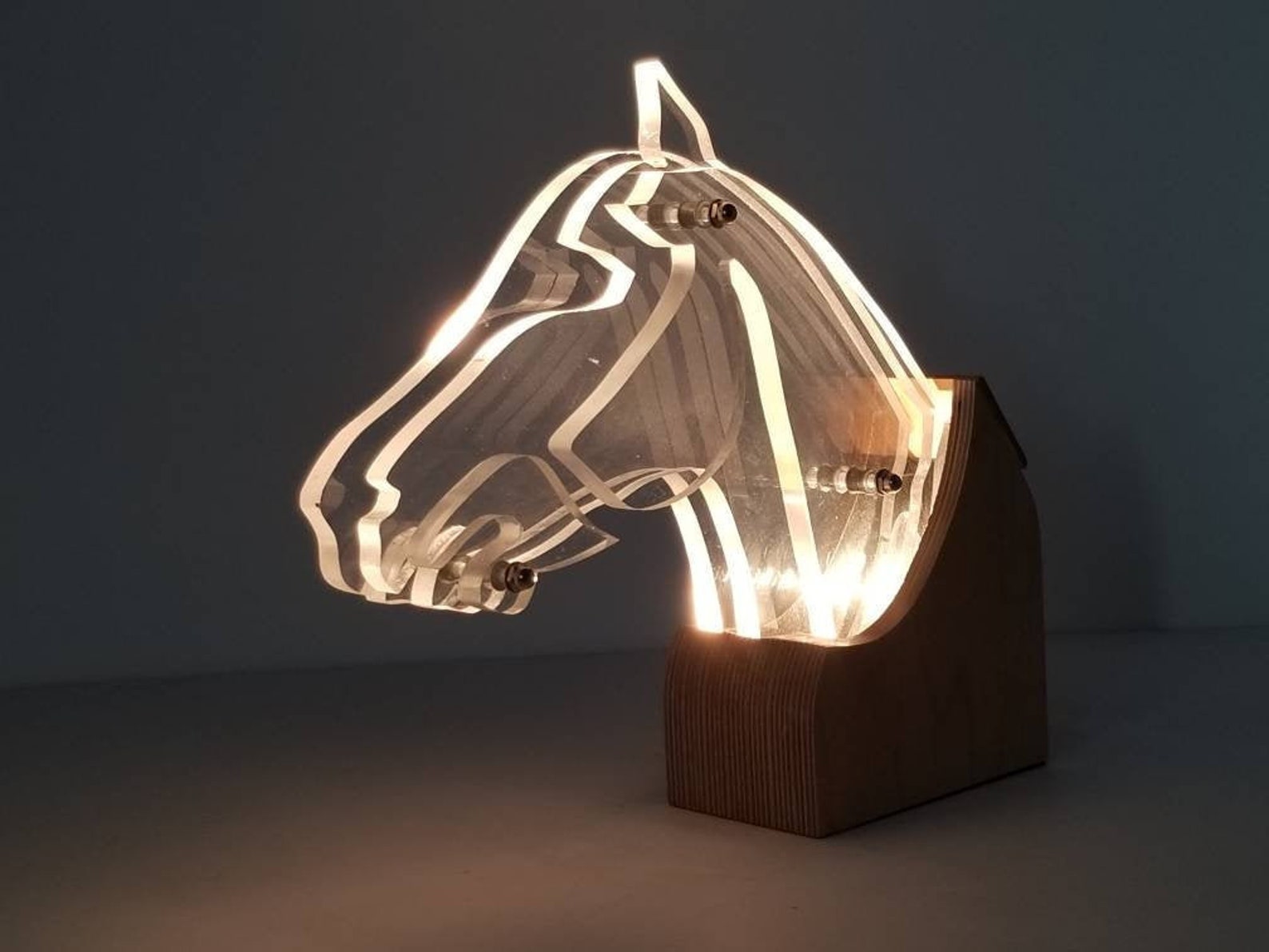 HORSE HEAD Acrylic LAMP Etsy
