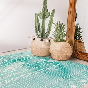 May include: A teal and white patterned rug with geometric designs. The rug is placed in front of a wooden door with a mirror and two potted plants.