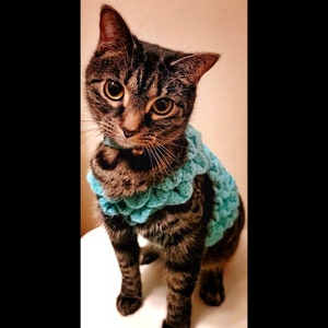 Cat calming vest discount