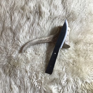 May include: A black handled knife with a silver blade resting on a white antler.