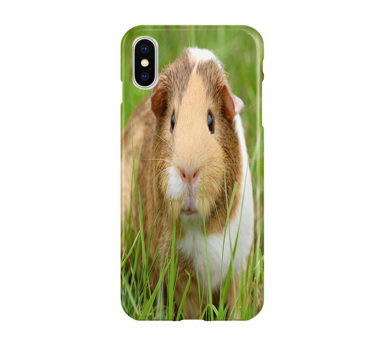 iphone xs max case guinea pig iphone xs max case guinea pig