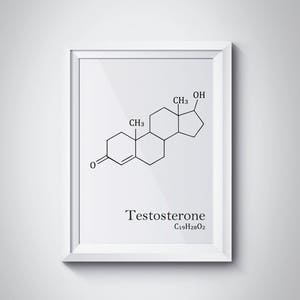 Testosterone Molecule Science Poster Minimalist Print Printable Poster Chemical Molecule Art Print Testosterone