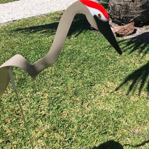 Dancing Yard Sandhill Decor