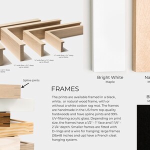 Frames | Cattie Coyle Photography