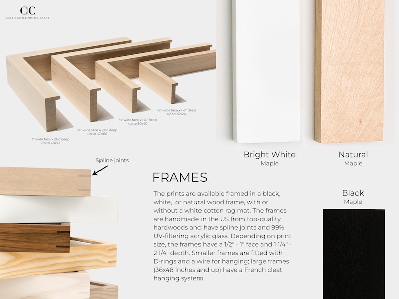 Frames | Cattie Coyle Photography