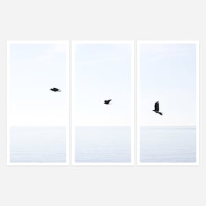 3 Panel Wall Art – Bird Photography Triptych – Large Framed Three Piece Art Set – Blue Coastal Art – Beach House Decor – Set of 3 Prints