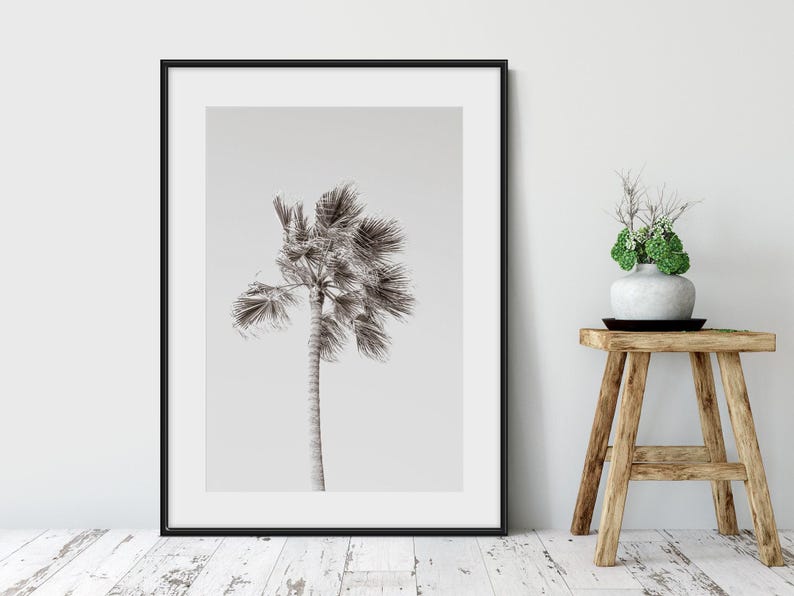 Cattie Coyle Photography California Palm Tree Art Print - Thumbnail 3