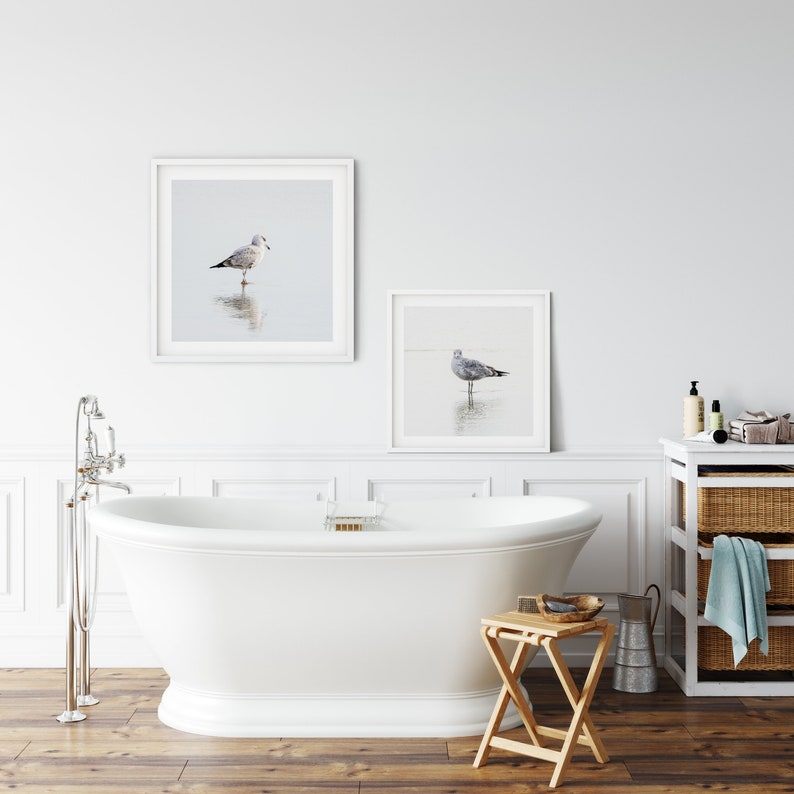 Seagull Wall Art Bird Photography Framed Art Beach House Etsy