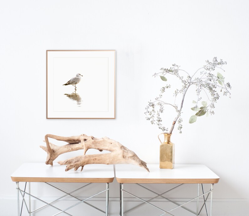 Seagull Wall Art Bird Photography Prints Framed Minimalist Art Neutral