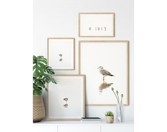 Bird Photography Gallery Wall Set - 4 Piece Wall Art in Neutral Colors - Minimalist Fine Art Photography Prints