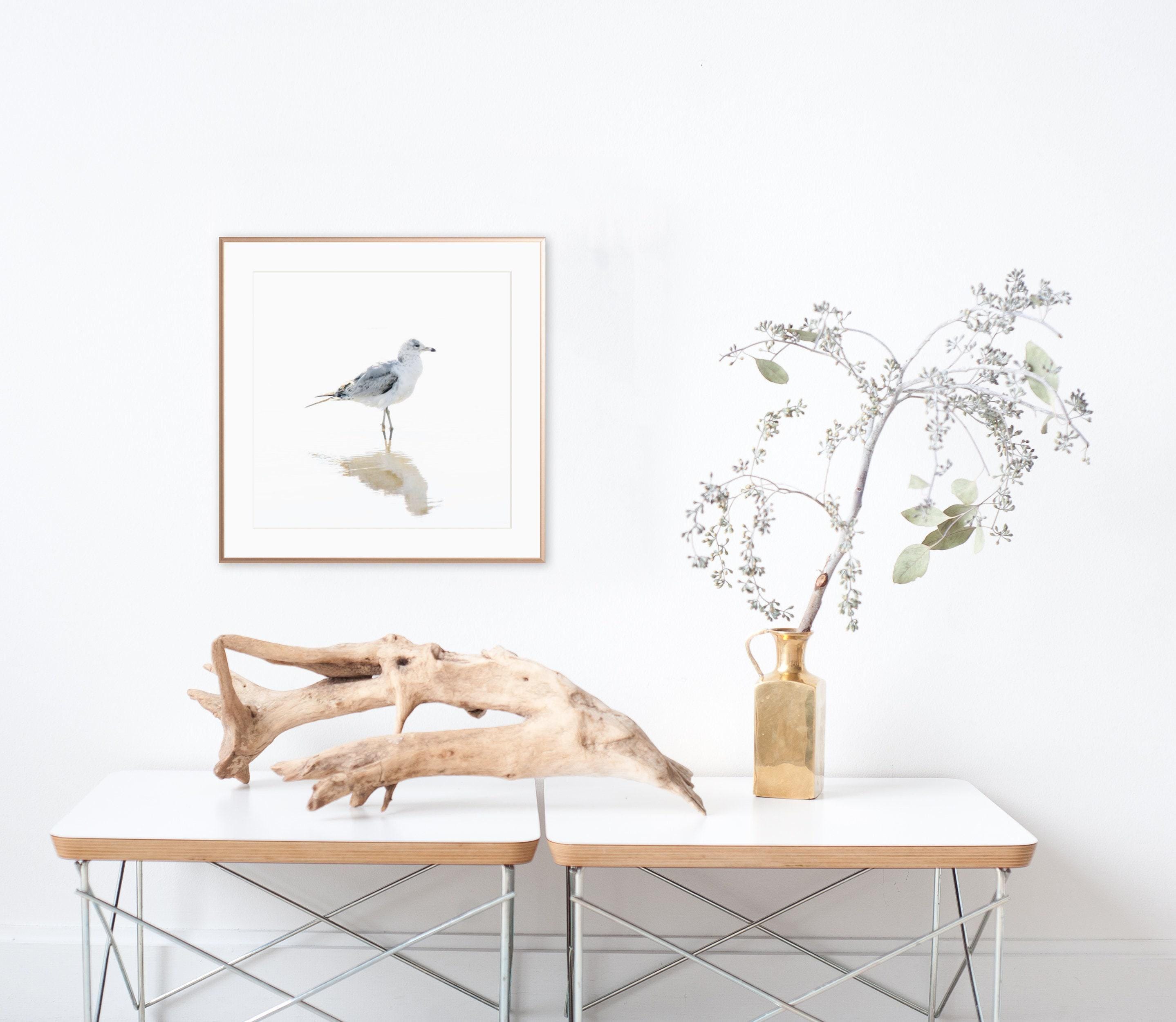 Seagull Art Print - Bird Photography - Minimalist Art for Beach House ...