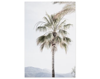 Palm Tree and Mountains - Signed Fine Art Landscape Photography Prints - Large Framed Wall Art - Living Room Wall Decor - French Riviera