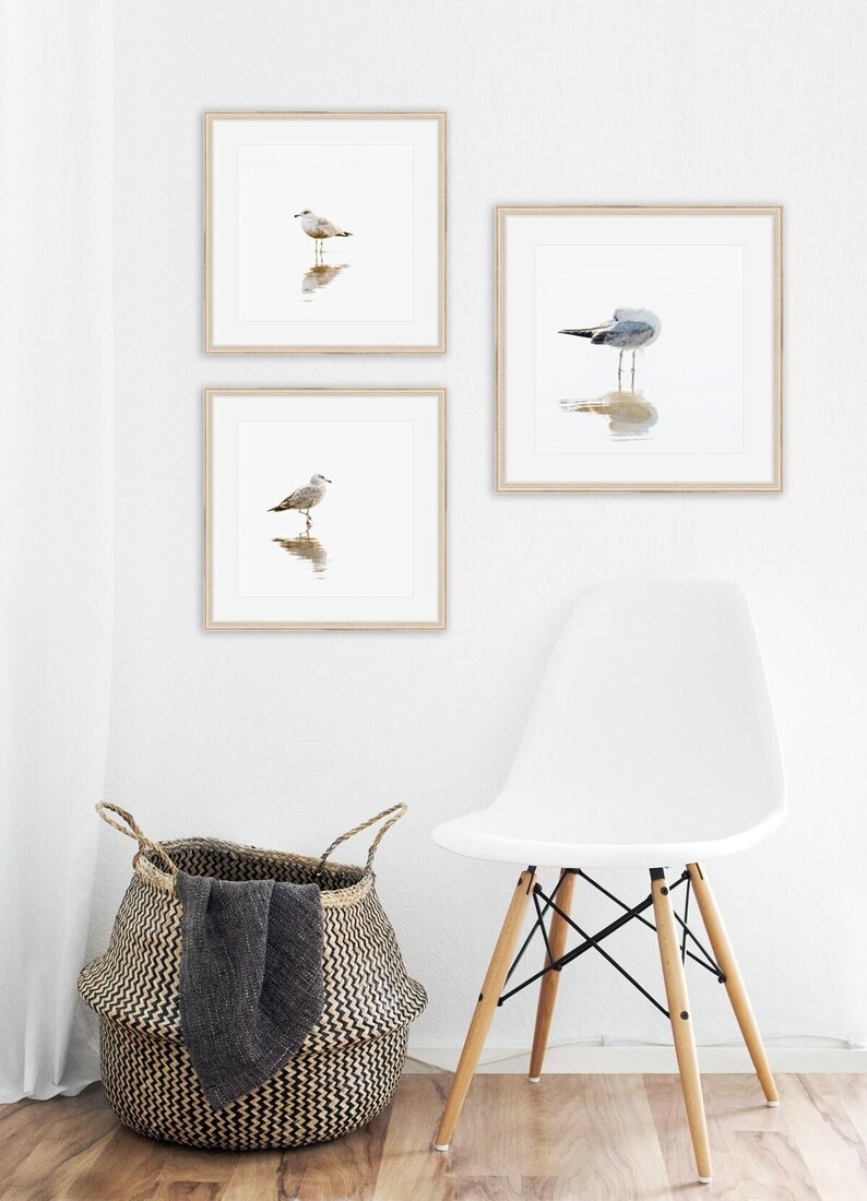 Seagull Art Print - Bird Photography - Framed Prints - Minimalist ...