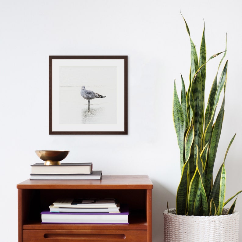 Seagull Wall Art Bird Photography Framed Art Beach House Etsy