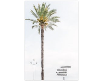 Palm Tree Photography Art Print - Nice Côte d'Azur - French Riviera Wall Decor – Vertical Acrylic Glass Wall Art - Gift for Francophile