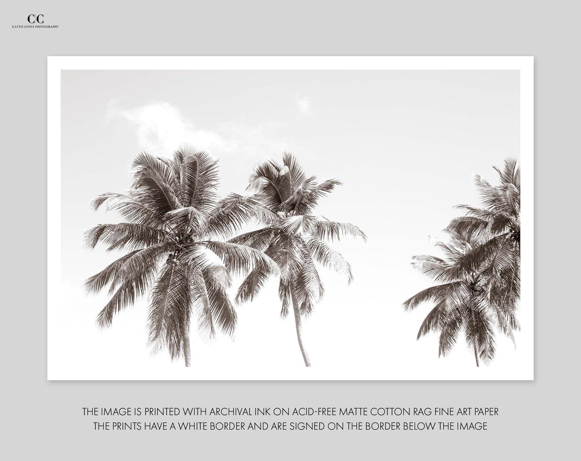Palm Trees Print - Black and White Photography - Coconut Palm - Large ...
