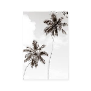 Palm Tree Art - Black and White Photography - Palm Trees Print - Large Framed Art - Coastal Decor - Black and White Prints - Beach House Art