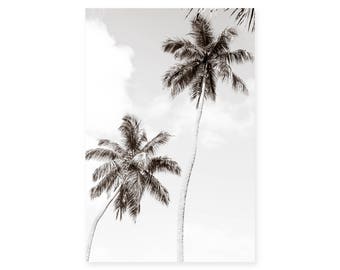 Palm Tree Art - Black and White Photography - Palm Trees Print - Large Framed Art - Coastal Decor - Black and White Prints - Beach House Art