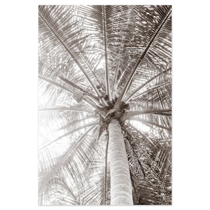 Impressão de arte de palmeira - Fotografia em preto e branco - Grande arte de parede emoldurada - Decoração de parede da sala de estar - Arte de parede tropical - Decoração de parede costeira