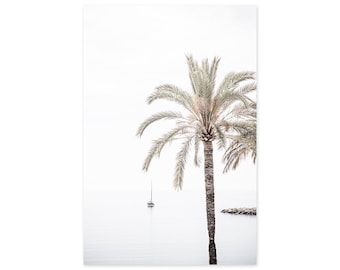 Palm Tree Fine Art Photography -  Minimalist Signed Art Prints - Large Framed Wall Art - Coastal Wall Decor - French Riviera