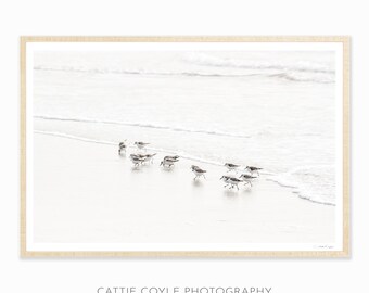 Sandpipers - Shore Birds Wall Art - Wildlife Photography - Neutral Colors - Framed Prints - Coastal Bedroom Decor - Horizontal Wall Art