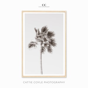 Impressão artística de palmeira da Califórnia - Fotografia em preto e branco - Grande arte de parede emoldurada - Decoração costeira - Decoração de parede para sala de estar, escritório e quarto