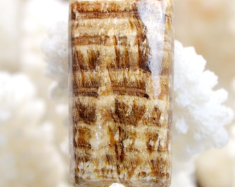Aragonite zoned 34 carats Peru AZ61 cabochon natural stone