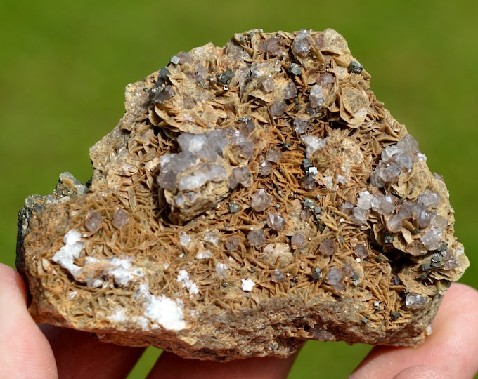 Pyrite & Siderite Quartz 210 grams - Peyrebrune, Montredon-Labessonnié, Castres, Tarn, Occitanie, France