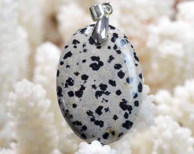 Jaspe dalmatien 34 carats - pendentif cabochon pierre naturelle - Mexique / FY55