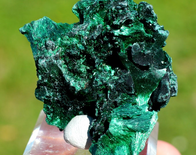Malachite 51 grams - L'Etoile du Congo Mine, Lubumbashi, Haut-Katanga, DR Congo