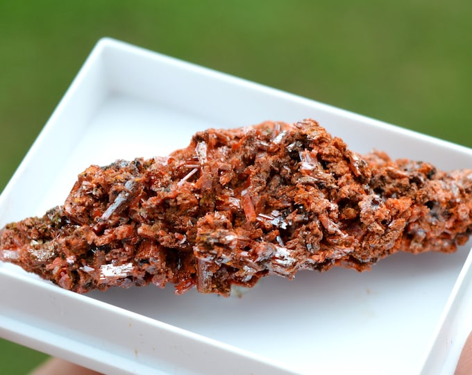 Crocoite 31 grams - Dundas mineral field, Zeehan District, West Coast municipality, Tasmania, Australia