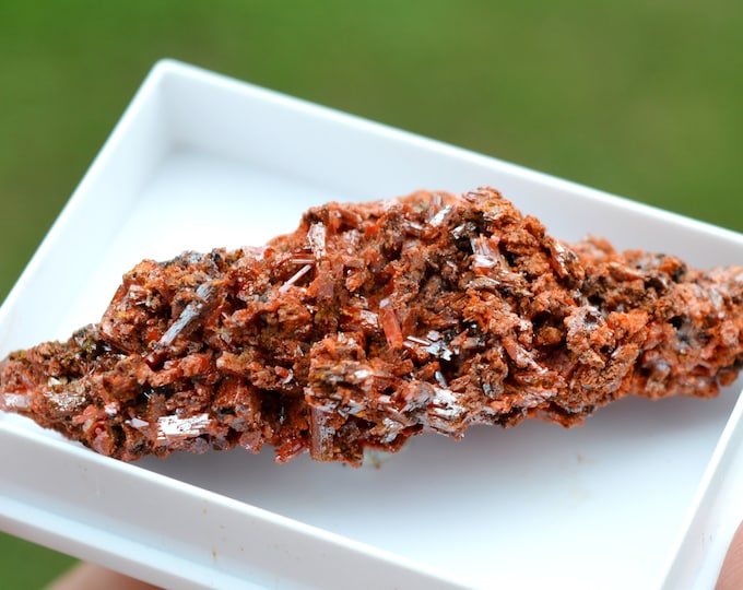 Crocoite 31 grams - Dundas mineral field, Zeehan District, West Coast municipality, Tasmania, Australia