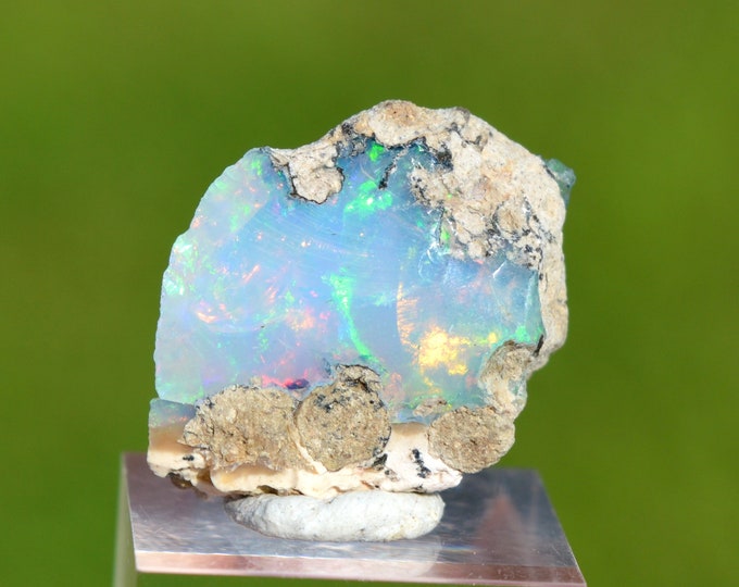 Raw opal - 14.2 carats - South Wollo Zone, Amhara Region, Ethiopia