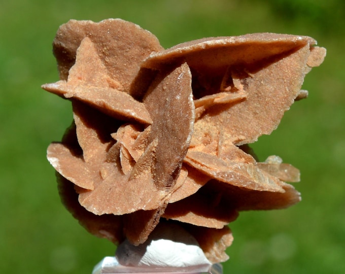 Gypsum var. Sand Rose 80 grams - Gargas, Apt, Vaucluse, Provence-Alpes-Côte d'Azur, France