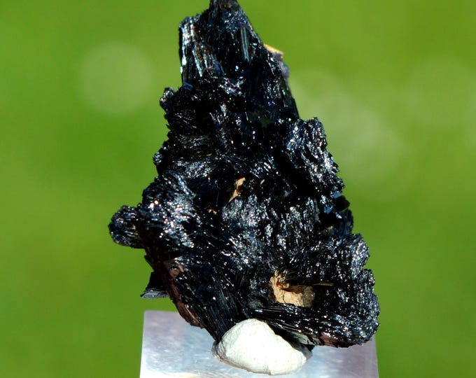 Goethite 11.6 grams - Lake George, Park County, Colorado, USA