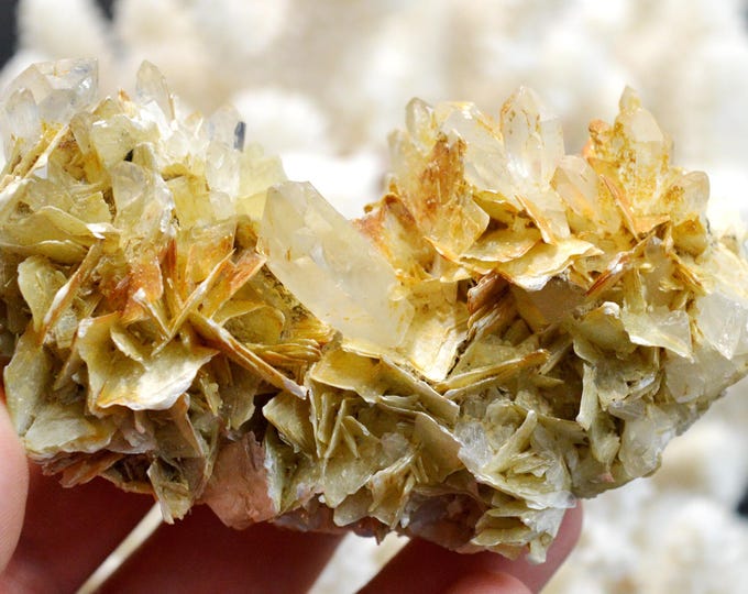 Star Muscovite & Quartz 237 grams - Linópolis, Divino das Laranjeiras, Minas Gerais, Brazil