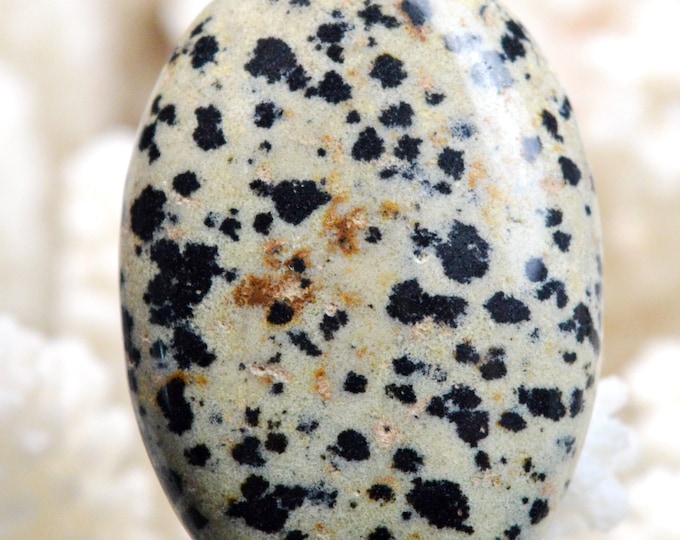 Jaspe dalmatien 65 carats - cabochon pierre naturelle - Mexique // REF AW14