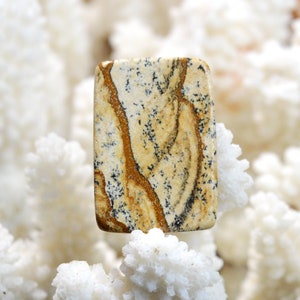Jaspe Paysage 18 carats - cabochon pierre naturelle - Namibie / EQ21