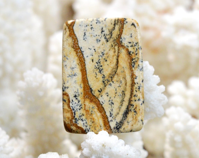 18 carat Landscape Jasper - natural stone cabochon - Namibia / EQ21