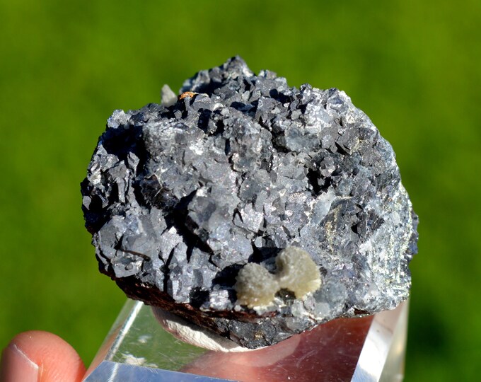 Baryte & Galena 147 grams - Le Buisson Mine, Montmirat, Saint-Étienne-du-Valdonnez, Mende, Lozère, Occitanie, France
