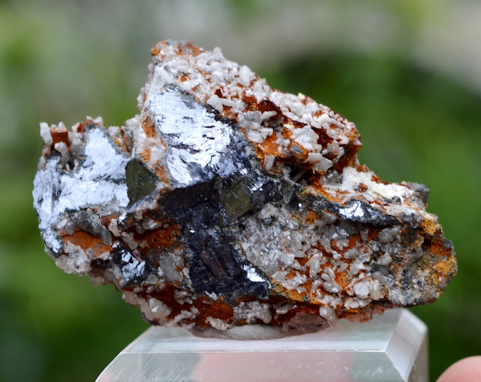 Cerussite & Galena 157 grams - Rohdenhaus Quarry, Rohdenhaus, Wülfrath, Mettmann, Düsseldorf, North Rhine-Westphalia, Germany