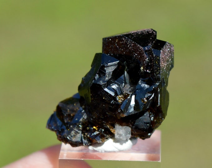 Tourmaline var. Uvite 15 grams - Pedra Preta pit, Serra das Éguas, Brumado, Bahia, Brazil