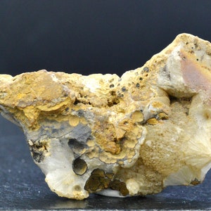 Pode incluir: Uma rocha áspera de forma irregular com uma formação mineral branca, marrom e preta. A rocha tem uma textura porosa com pequenos buracos e uma variedade de cores.