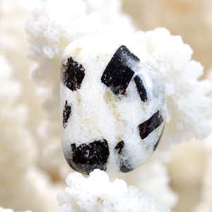 Astrophyllite - 14 carats - cabochon pierre naturelle - Russie // BS69