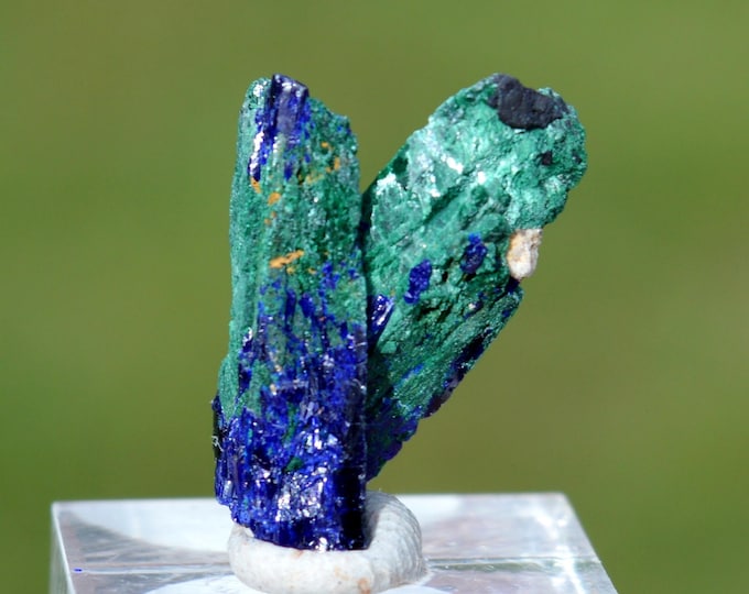 Azurite Malachite 1.55 grams - Touissit, Touissit-Bou Beker mining district, Jerada Province, Oriental Region, Morocco